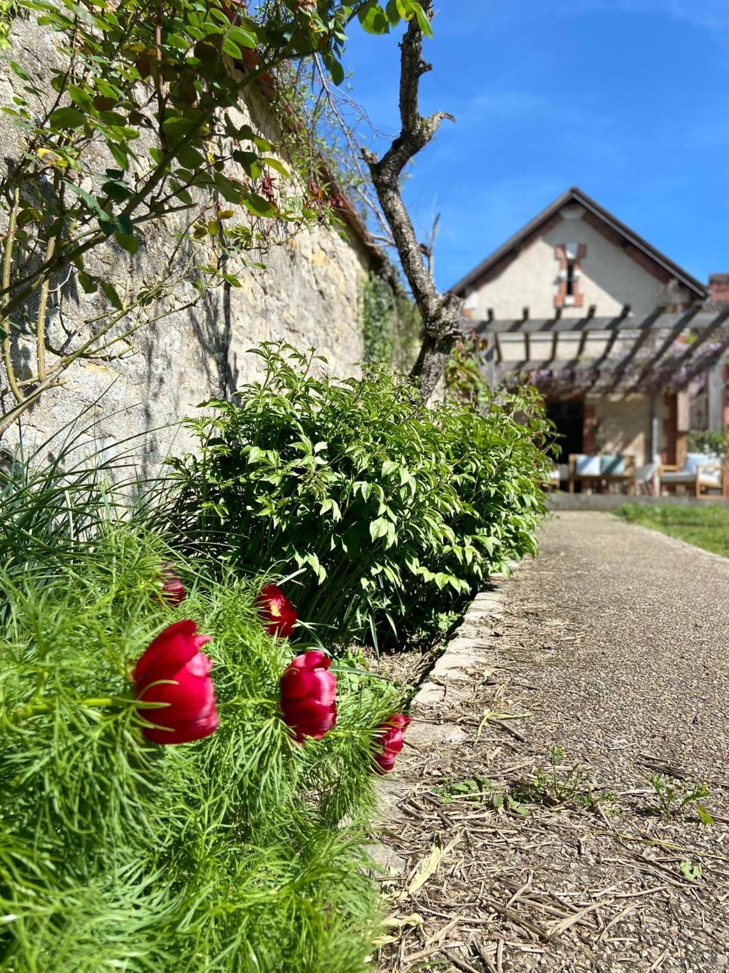 Pool House-L'Hirondelle De Sermizelles- Grand Jardin, Calme Et Nature Aux Portes Du Morvan Kültér fotó